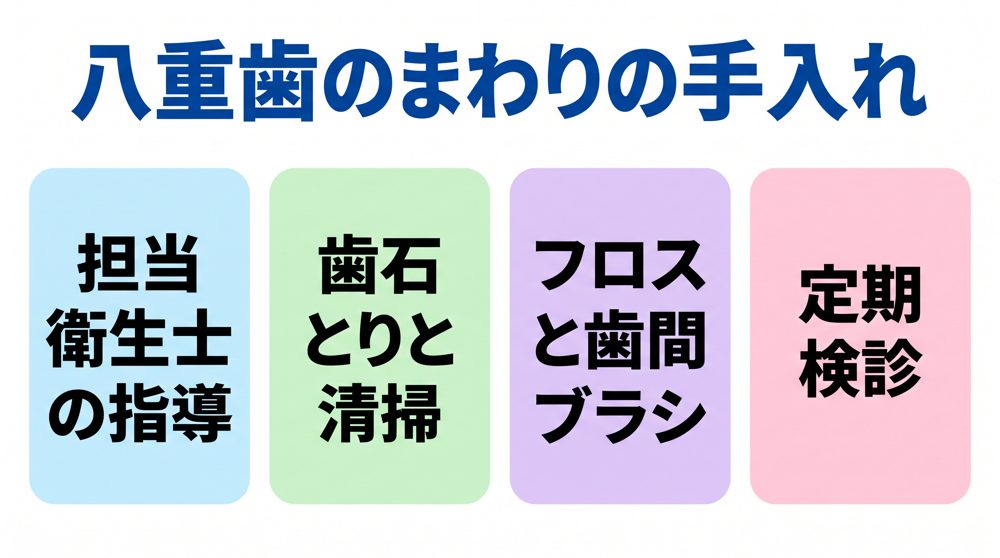 八重歯のまわりの手入れ