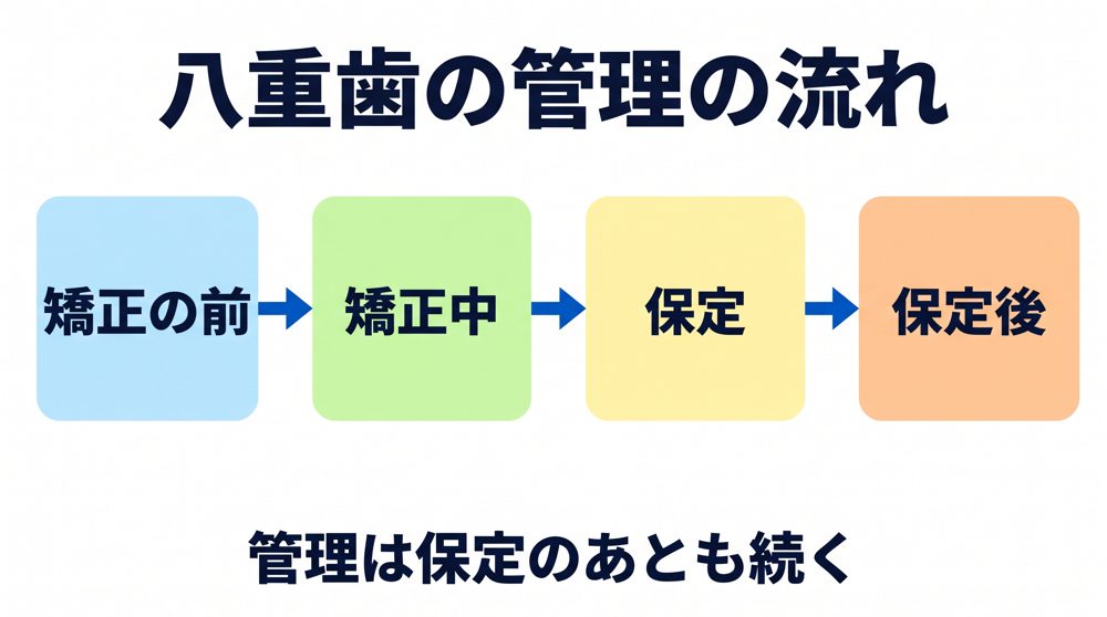 八重歯の管理の流れ。管理は保定のあとも続く
