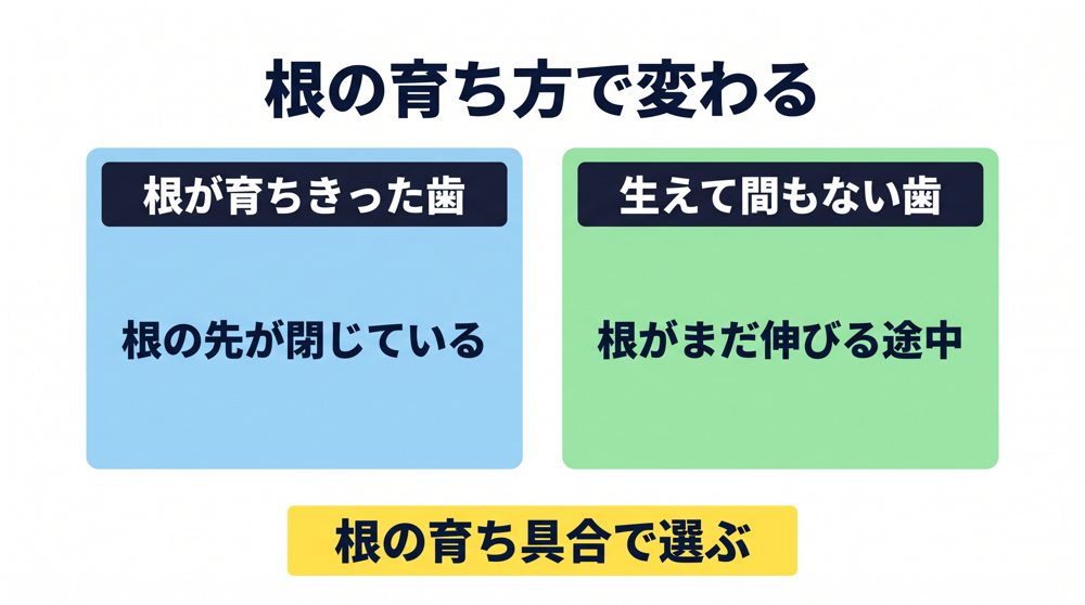 生えて間もない永久歯は根が育ちきっておらず、神経を残す意味がとくに大きい